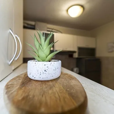 Meta Olive Apartman